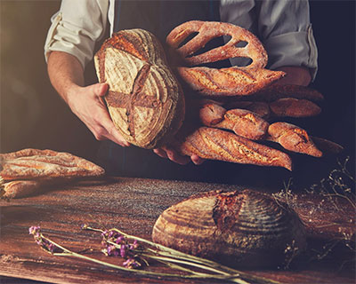 The science of bread