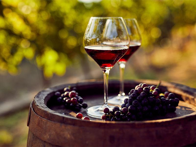50 facts about wine