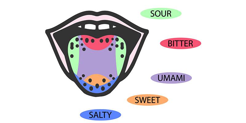 Tongue taste map