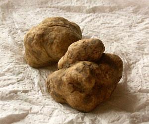 White truffles