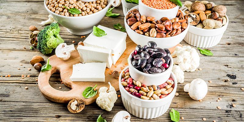 Plant Based Proteins