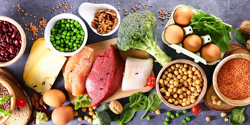 Protein sources