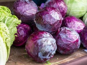 How to cook red cabbage?