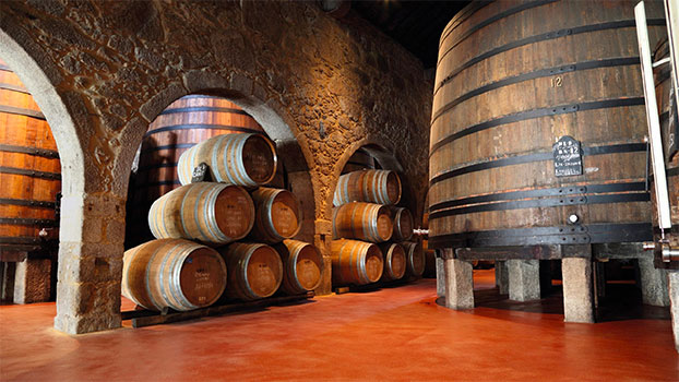 Facts about wine